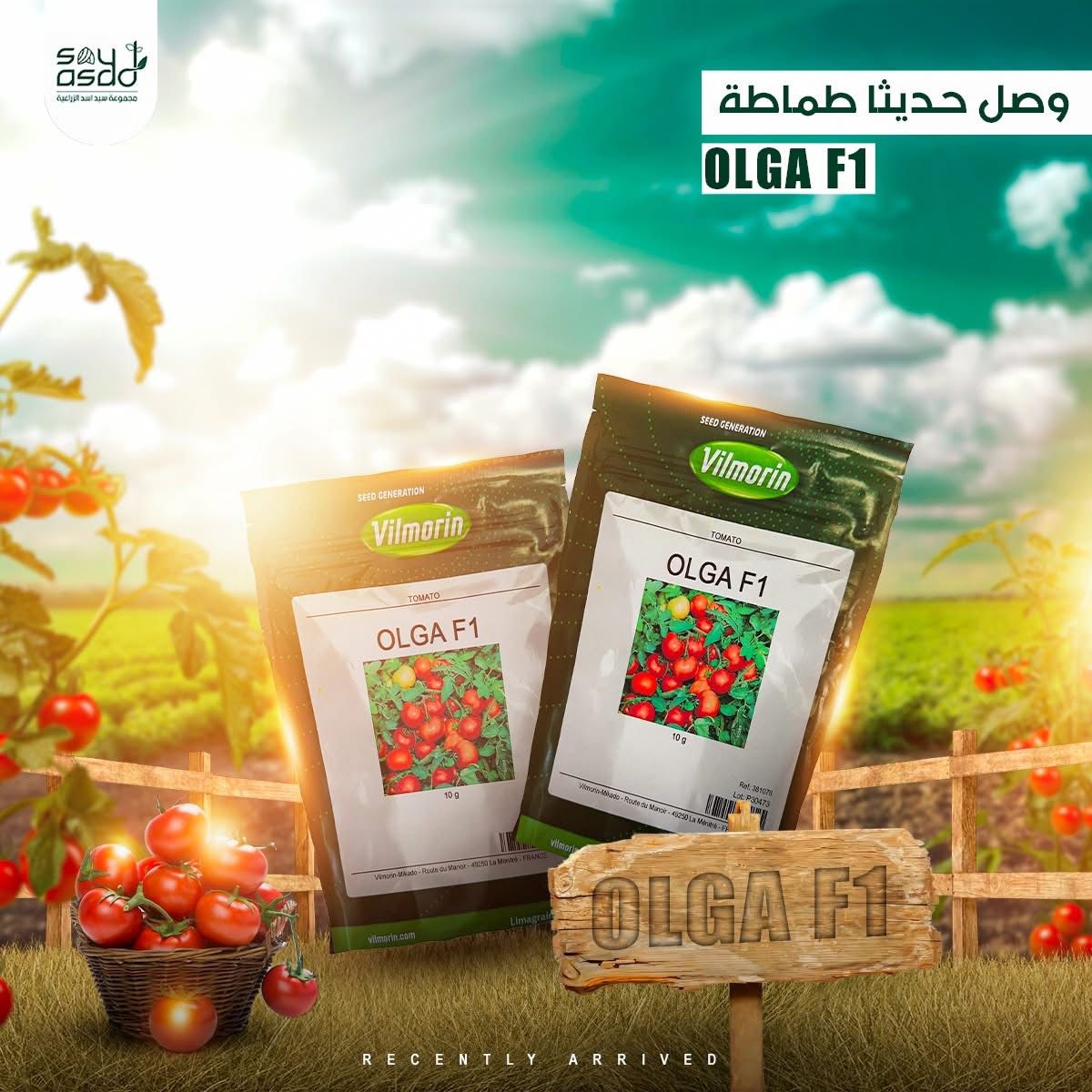 صورة 45